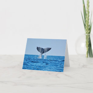 Whalblanke-Karte Karte