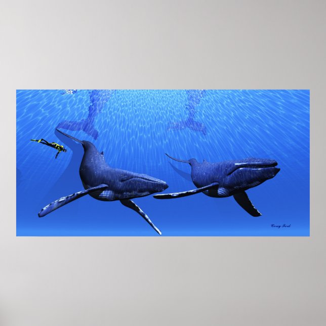 Whale 01 Print Poster (Vorne)