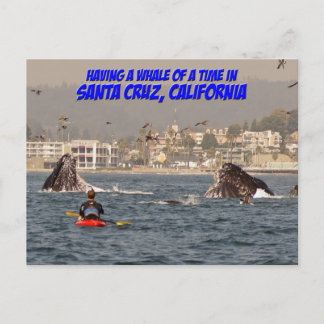 Whale a Time Santa Cruz Postcard Postkarte