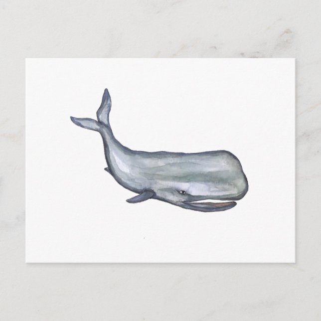 Whale Aquarellkunst Postkarte (Vorderseite)