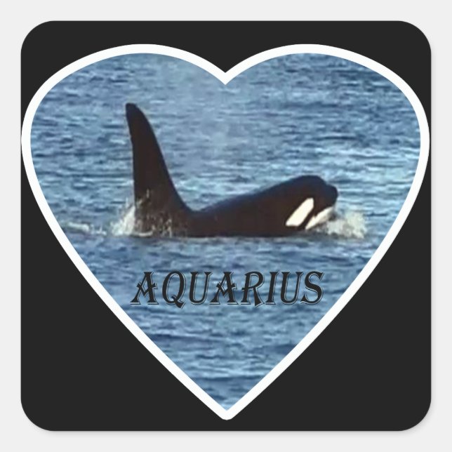 Whale "Aquarius" Orca Quadratischer Aufkleber (Vorderseite)