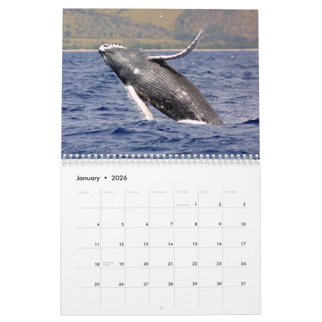 Whale Fotografy Calendar Kalender (Jan 2026)