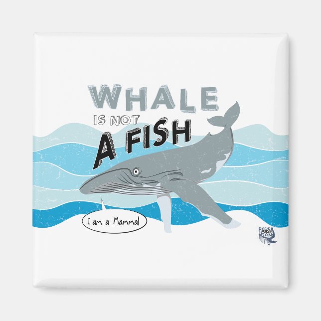 Whale is not a fish magnet (Vorne)