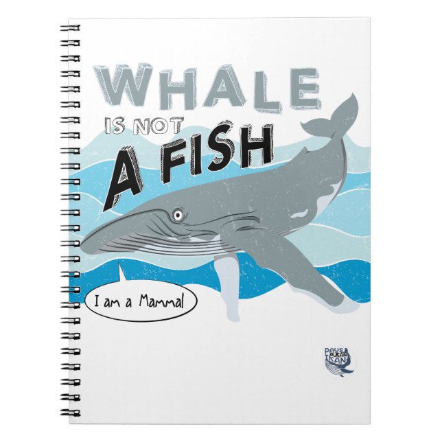 Whale is not a fish notizblock (Vorderseite)