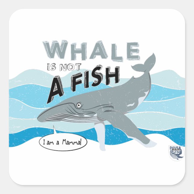 Whale is not a fish quadratischer aufkleber (Vorderseite)