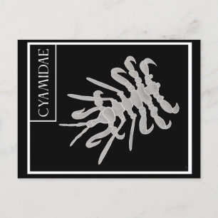 Whale Louse Postkarte