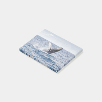 Whale Post-it Klebezettel