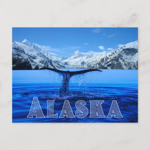 Whale Schwanz Alaska - Postkarte