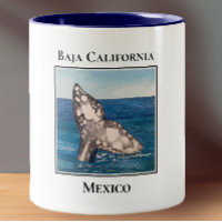 Whale Schwanz, Baja California, Mexiko