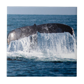 Whale Schwanz Fliese