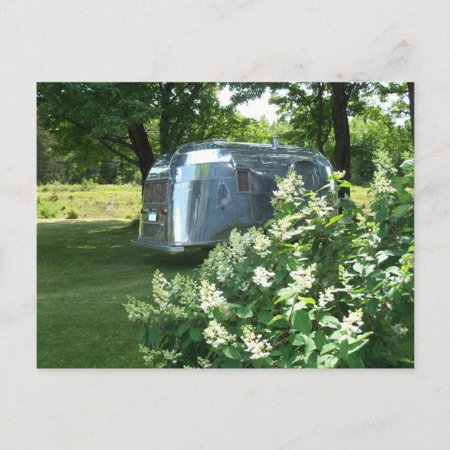 Whale Schwanz & Hydrangea Tin Can Trailer Postkart Postkarte (Vorderseite)