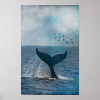Whale Schwanz Poster