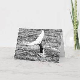 Whale Shakes a Schwanz Feather Geburtstagskarte Karte