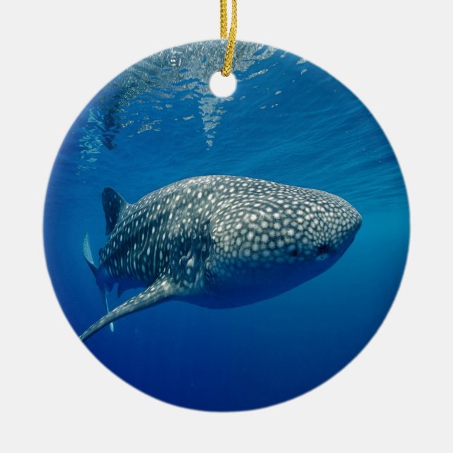 Whale Shark Keramikornament (Vorne)