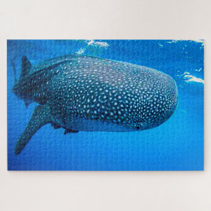 Whale Sharks Jigsaw Puzzle