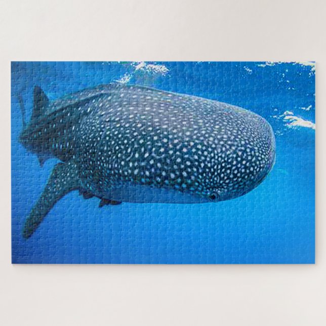 Whale Sharks Jigsaw Puzzle (Horizontal)