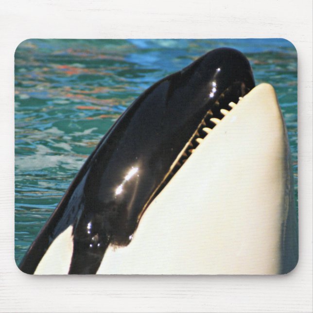 Whale Sprichwort Hello Mousepad (Vorne)
