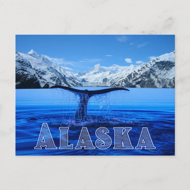 Whale Tail Alaska - Carte postale (Devant)