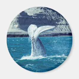 Whale-Wal-Schwanz Magnet