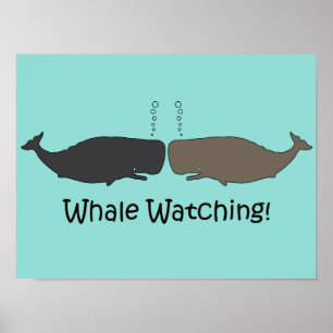 Whale Watching Fun Poster