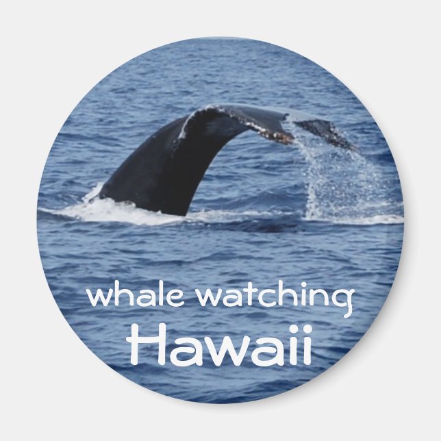 Whale Watching, Hawaii Magnet (Vorne)