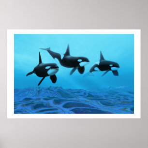 WHALE WORLD  PRINT POSTER