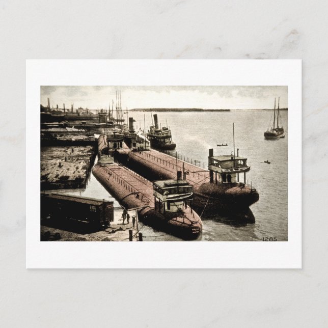 Whalebacks in Belle Isle, Michigan Postkarte (Vorderseite)