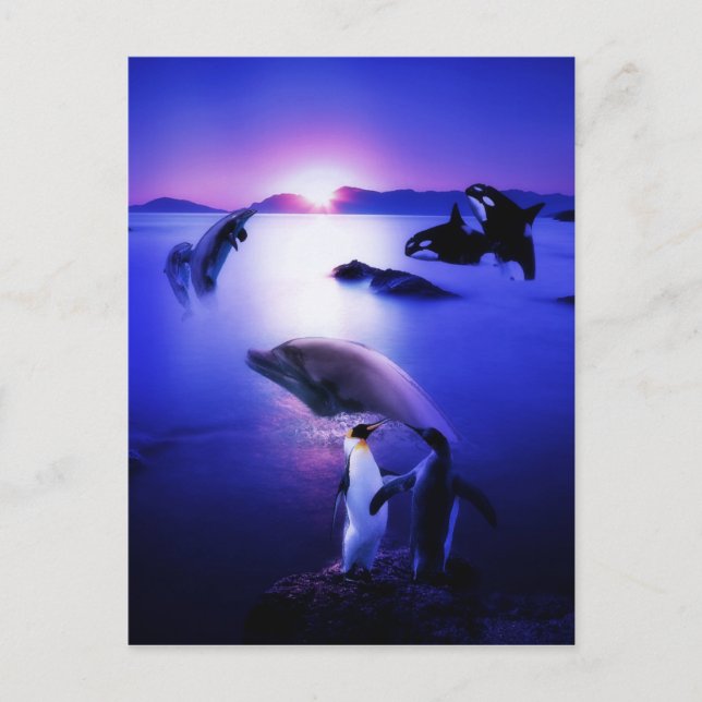 Whales-Delphine-Pinguine Postkarte (Vorderseite)