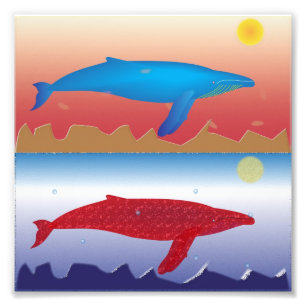 Whales Foto Print