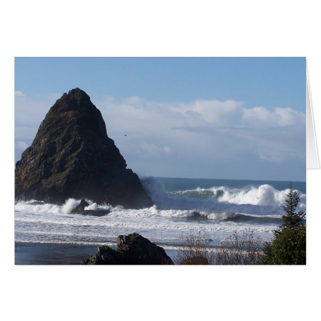 Whales Head Rock (Vorderseite (Horizontal))