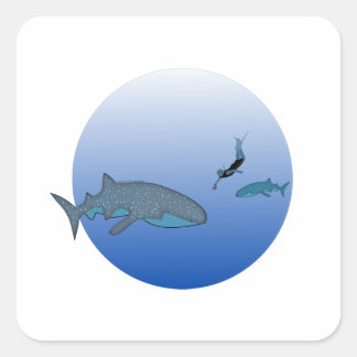 Whaleshark-Aufkleber Quadratischer Aufkleber