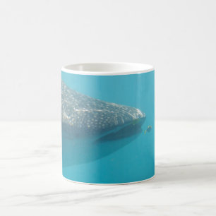 Whaleshark Kaffeetasse