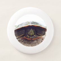 Frisbee de tortue de vol