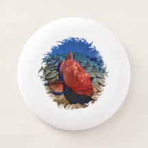Poisson De Groupement Sur Coral Golf Balls Golf Ba