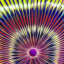 Wham-O Ultimate UPA Genehmigt 175g Frisbee Flying 