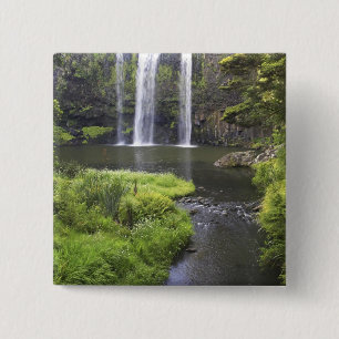 Whangarei Falls, Whangarei, Northland, Neuseeland  Button