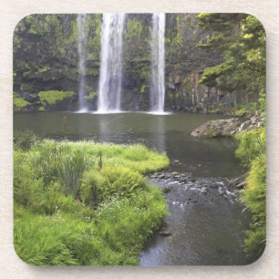 Whangarei Falls, Whangarei, Northland, Neuseeland Getränkeuntersetzer