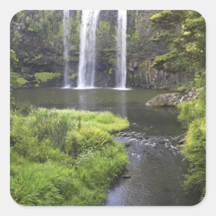 Whangarei Falls, Whangarei, Northland, Neuseeland  Quadratischer Aufkleber