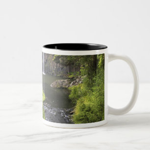 Whangarei Falls, Whangarei, Northland, Neuseeland Zweifarbige Tasse