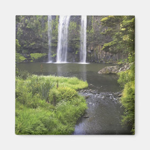 Whangarei Falls, Whangarei, Northland, New 2 Magnet