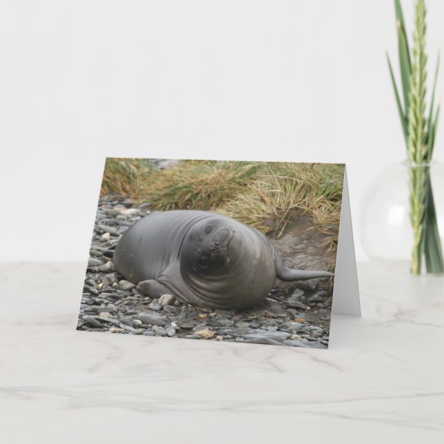 Whassup? Karte (Vorderseite)