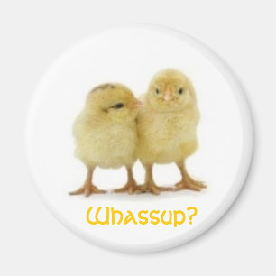 Whassup KÜKEN? Magnet