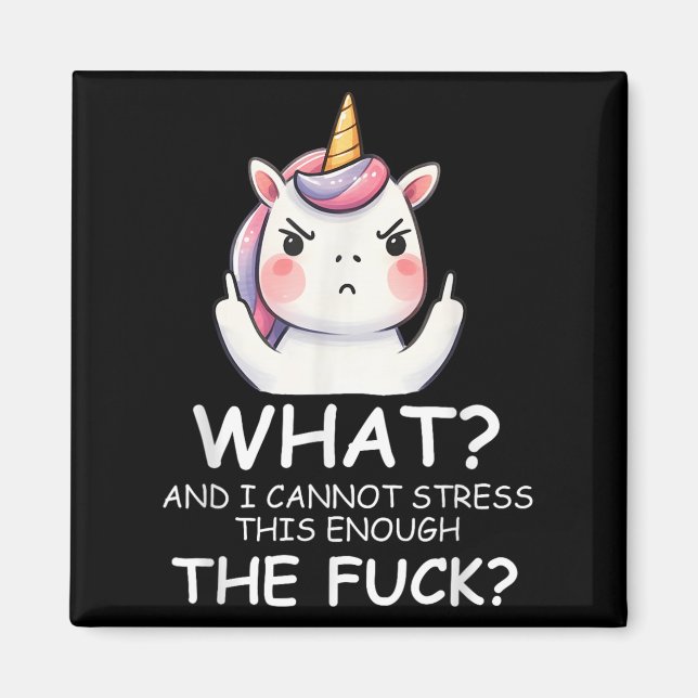 What &amp; I Cannot Stress This Enough The Fck Sig Magnet (Vorne)