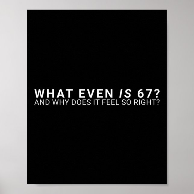 What Even Is 67 Meme  Poster (Vorne)