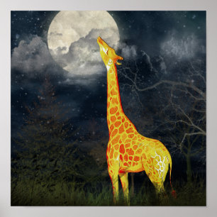 What the moon tastes like? Giraffe and Moon Poster