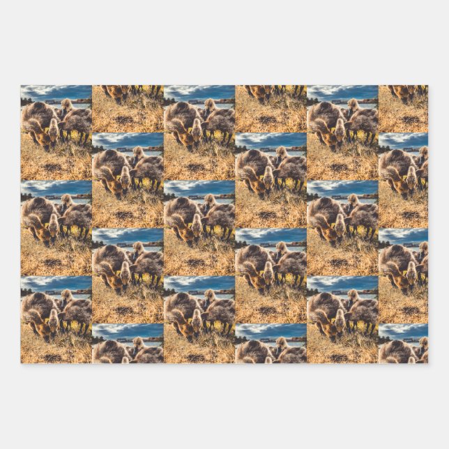 Whatcom Landkreis im Freien Set Geschenkpapier Set (Vorderseite)