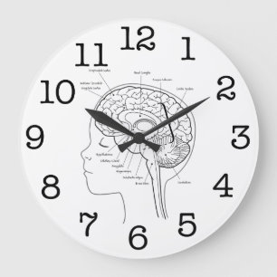 What's in Your Brain Große Wanduhr