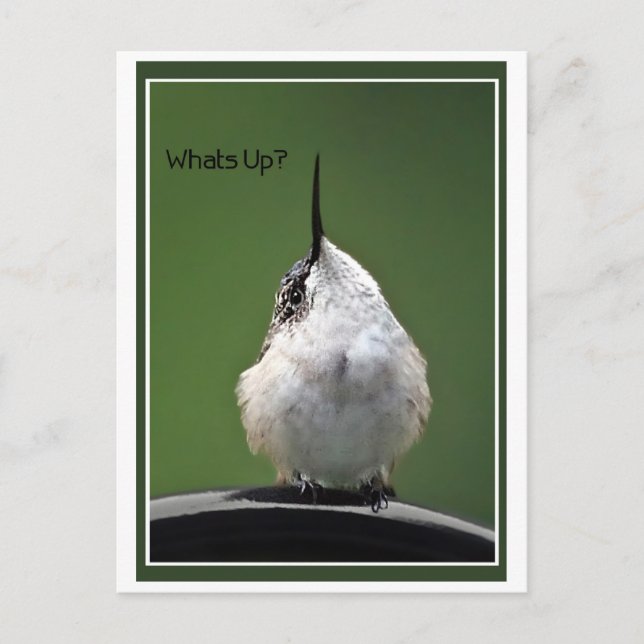 What's Up? With Text Postkarte (Vorderseite)