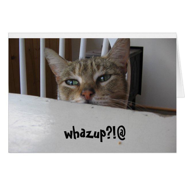 whazup chat puzzy ? ! (Devant horizontal)