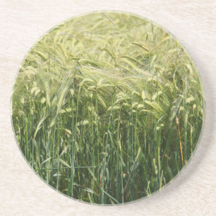 Wheat - Beautiful! Sandstein Untersetzer